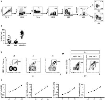 Invariant NKT Cells From Donor Lymphocyte Infusions (DLI-iNKTs) Promote ex vivo Lysis of Leukemic Blasts in a CD1d-Dependent Manner